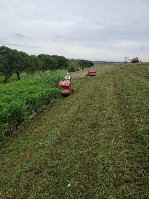 草刈り真っ只中